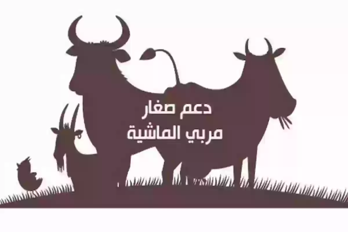 كيف استعلم عن دعم مربي المواشي وما شروط التسجيل؟